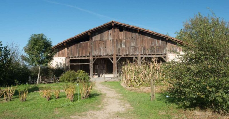 Basque Press Farm and Traditional Cider House with transport - Experience the Heart of Basque Country: Press Farm and Cider House Tour