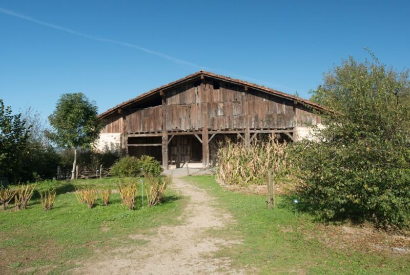 Basque Press Farm and Traditional Cider House with transport - Authentic, Educational, and Enjoyable