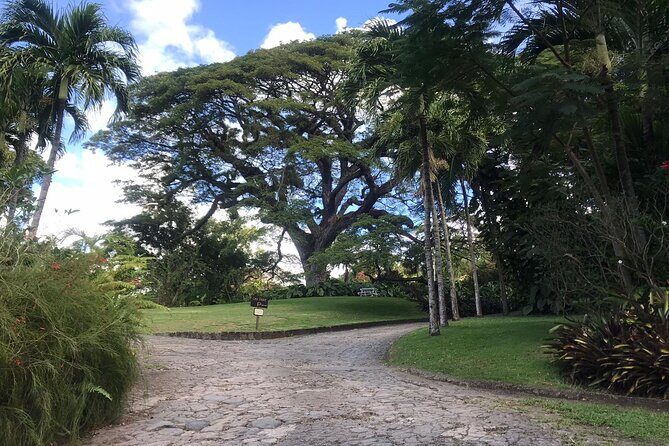 Basseterre Half Day Tour - What to Expect on the Day