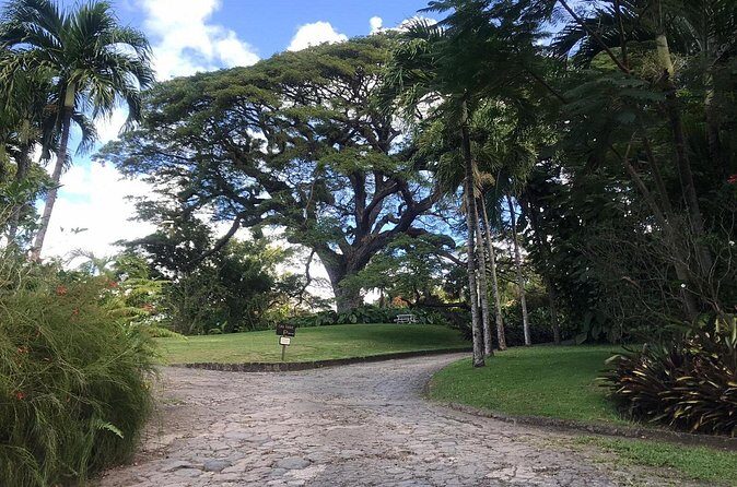 Basseterre Half Day Tour - FAQs about the Basseterre Half Day Tour