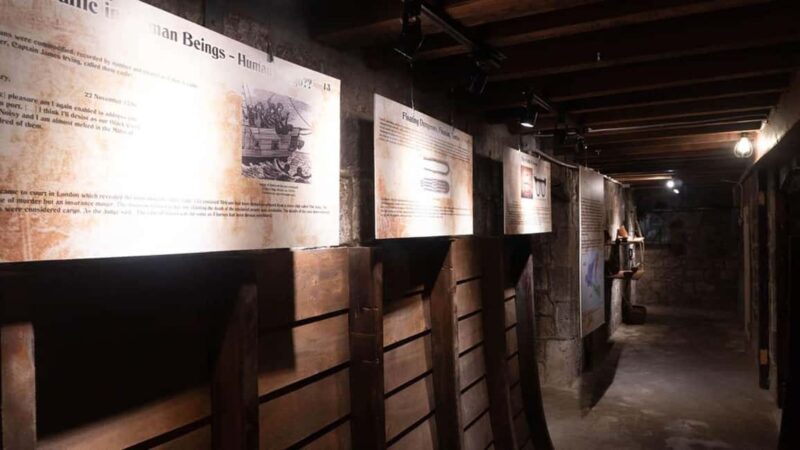 Basseterre Plantation Half Day Tour - Who Will Love This Tour?