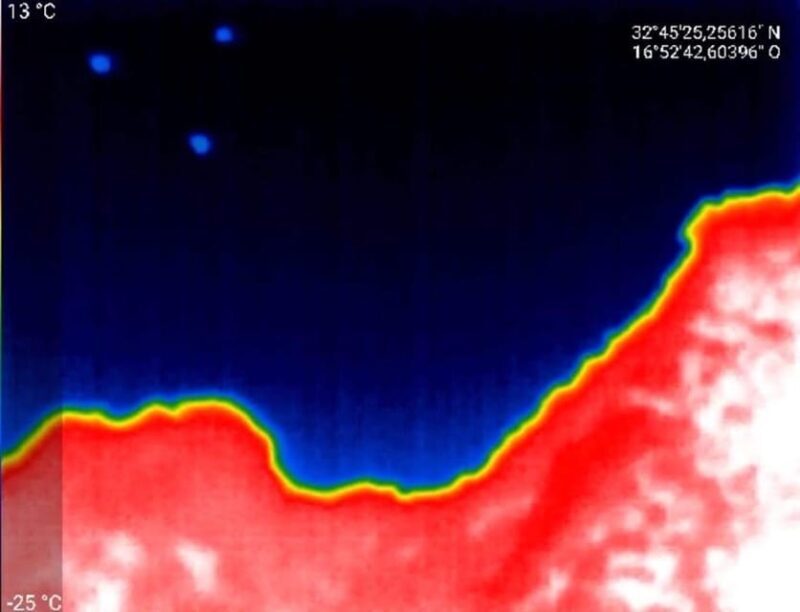 Bat Watching Madeira - Final Thoughts