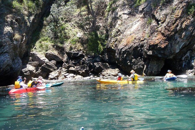 Batemans Bay Glass-Bottom Kayak Tour Over 2 Relaxing Hours - Final Thoughts: Is It Worth It?