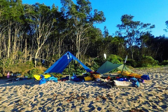 Batemans Bay Overnight Kayak Camping Tour from Canberra - All Inclusive - Final Thoughts: Who Will Love This Trip?