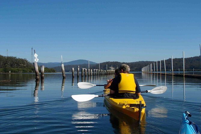 Batemans Bay Oyster Tasting Kayak Tour - What Makes It Special?