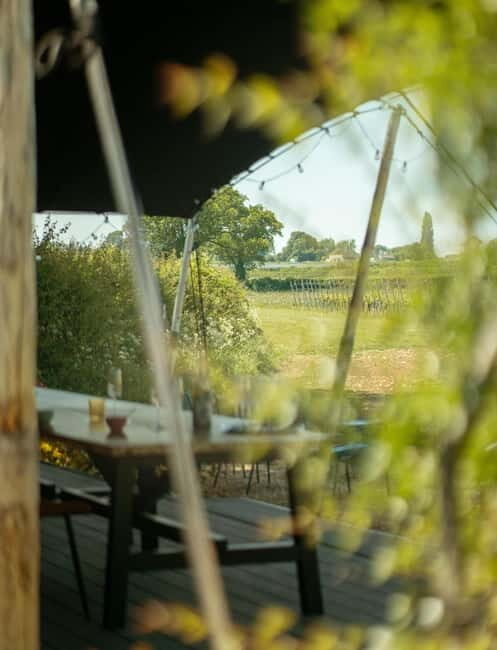 Bath: Vineyard Tour, Wine Tasting, and Music Pairing - Final Words