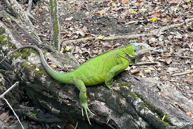 Bathtub of Josephine and Islands Half day Boat trip - Pricing and Value Analysis