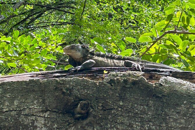 Bathtub of Josephine and Islands Half day Boat trip - Who Is This Tour Best For?