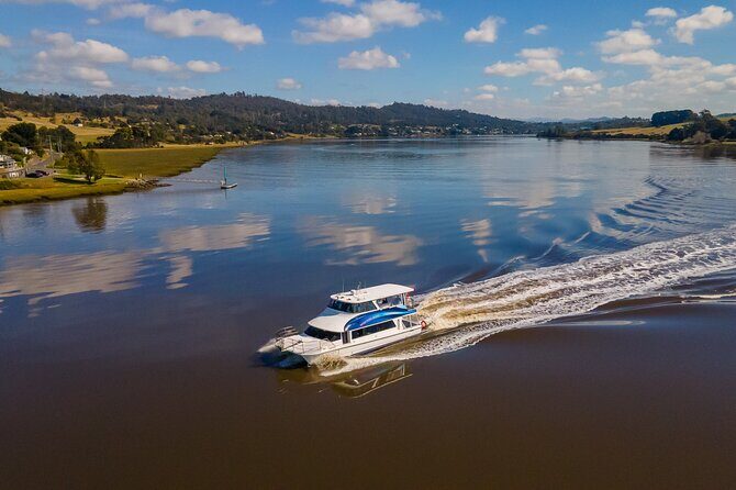 Batman Bridge 4 Hour Luncheon Cruise including sailing into the Cataract Gorge - Discover the Tamar River and Cataract Gorge on a 4-Hour Luncheon Cruise