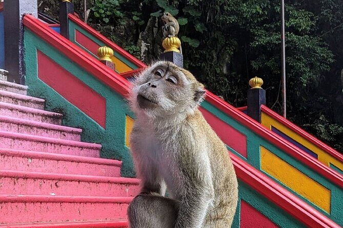 Batu Caves, Waterfalls and Hot Springs Tour With Lunch - Why This Tour Offers Great Value