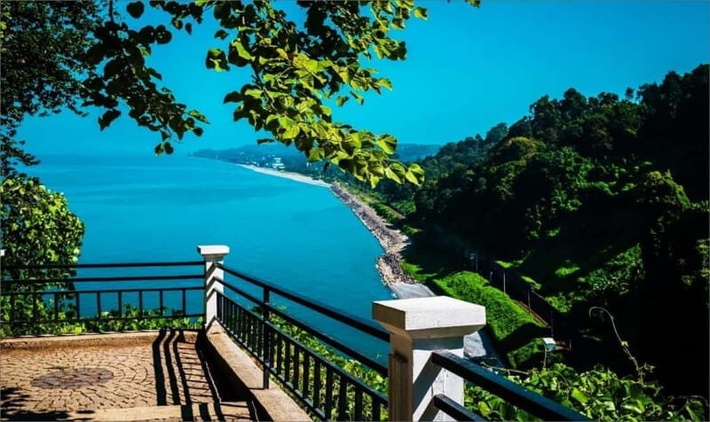 Batumi: Exploring Botanical Garden + Family Wine Tasting - Detailed Breakdown of the Itinerary