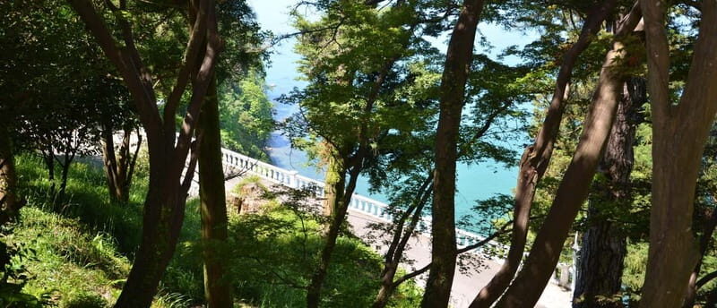 Batumi: Exploring Botanical Garden + Family Wine Tasting - Practical Tips for Travelers