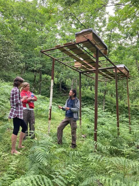 Batumi: Sweet Excursion and Mtirala Forest - An In-Depth Look at the Batumi: Sweet Excursion and Mtirala Forest Tour