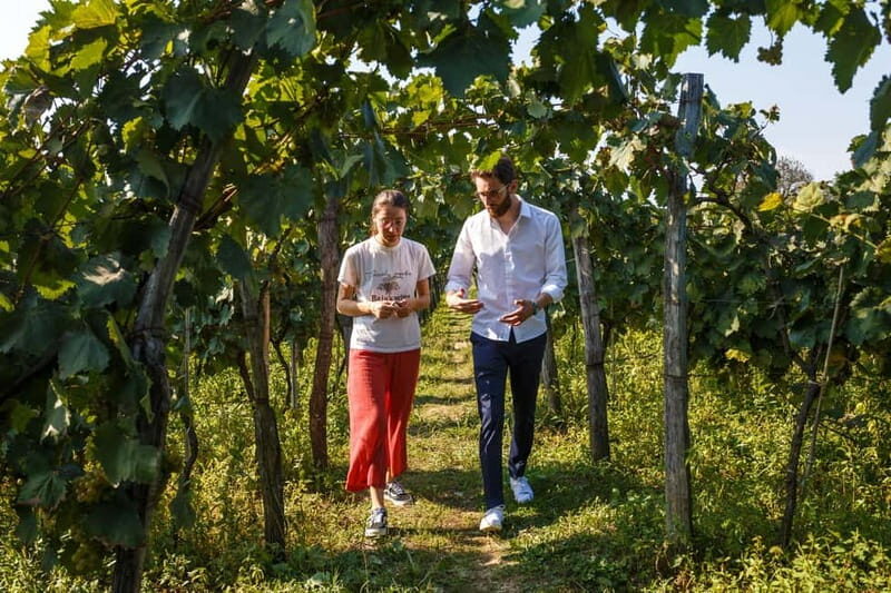 Batumi to Kutaisi, Wine & Dine - Practical Information and Tips