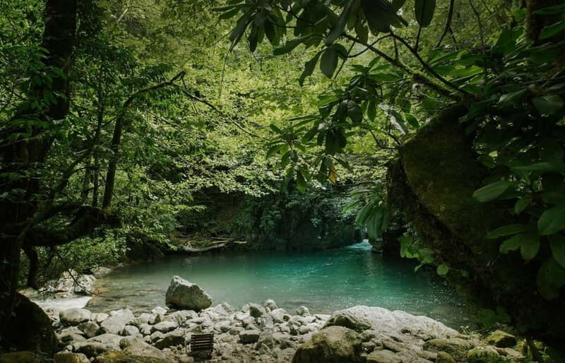 Batumi to Mtirala National park - Half day hiking group tour - The Authenticity and Value of This Tour