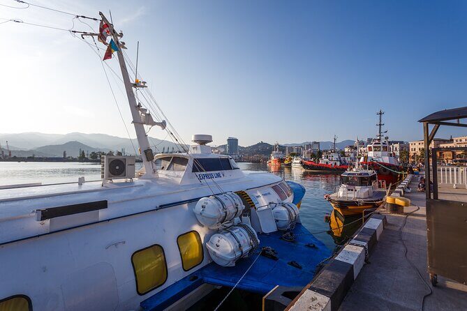 Batumi Walking Tour - Key Points