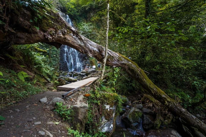 Batumi, Waterfalls & Folklore - group tour from Kutaisi - Why This Tour Offers Good Value