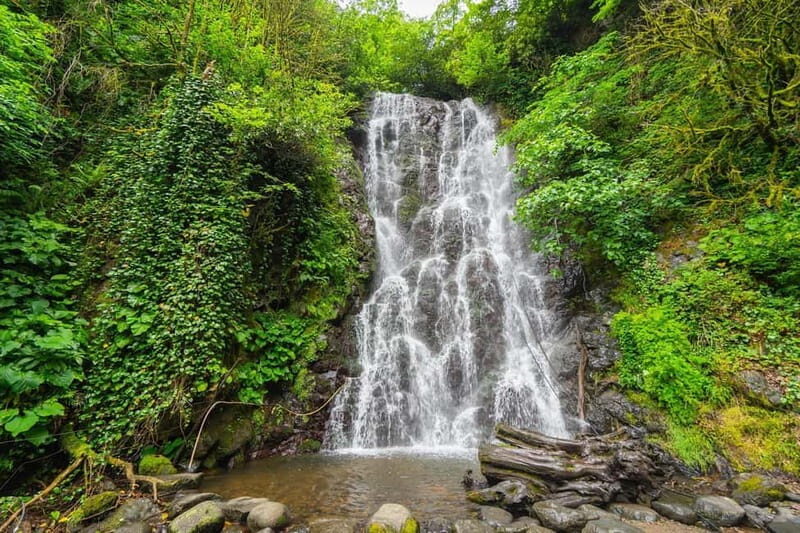 Batumi: Wine & Dine Tour To Waterfalls - Mountainous Adjara - Who Would Love This Tour?