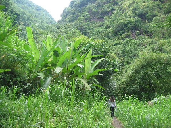 Batur Caldera Sunrise Trekking - Key Points