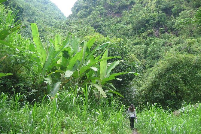 Batur Caldera Sunrise Trekking - Final Words