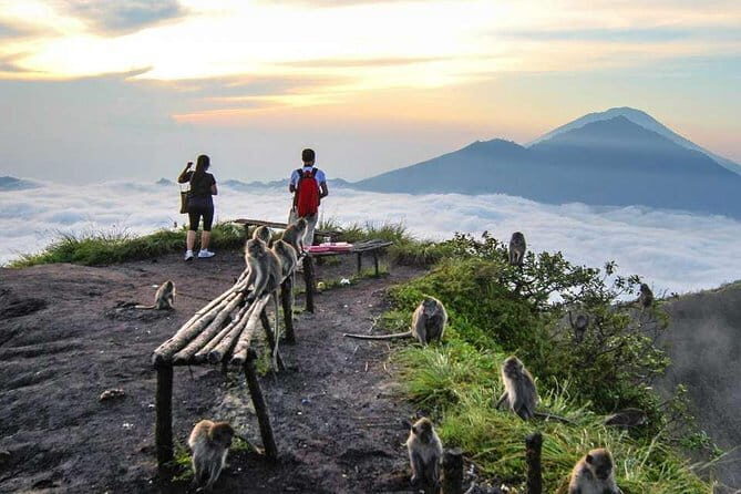 Batur Sunrise Trekking & Hot Springs - A Deep Dive Into the Mount Batur Sunrise & Hot Springs Tour