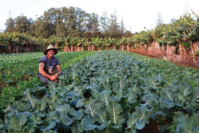 Bauntis Farm and Industry Tour in Norfolk Island - Who Should Consider This Tour?