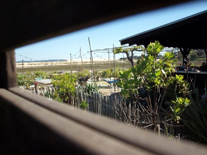 Bay of Arcachon: Guided Food Tour - Why It’s a Great Value
