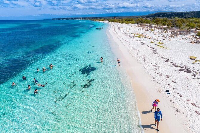 Bay of Eagles VIP : Full Day to Paradise From Santo Domingo - In-Depth Review of the Bay of Eagles VIP Tour