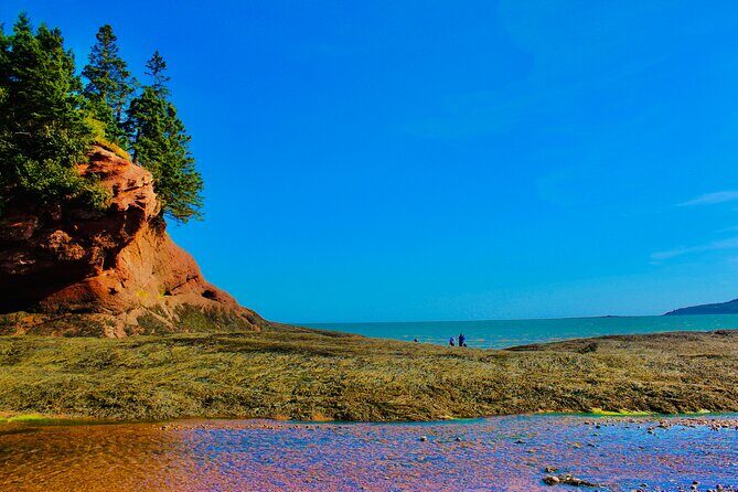 Bay Of Fundy Guided Tour - Experience the Bay of Fundy Guided Tour: A Balanced Look at Coastal Beauty and History