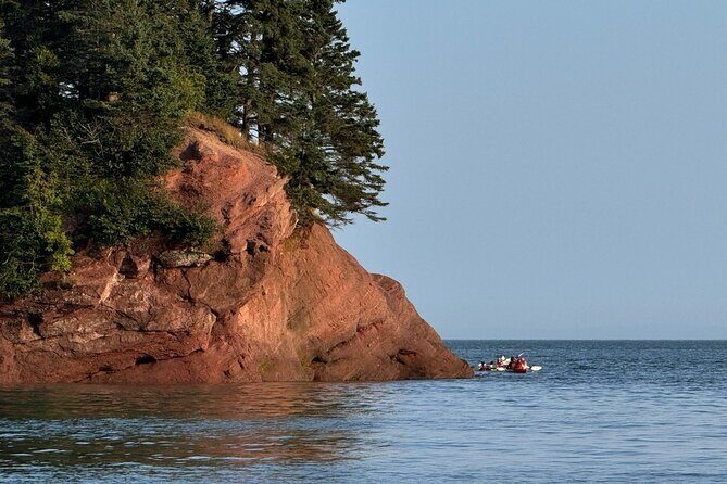 Bay Of Fundy Guided Tour - Frequently Asked Questions