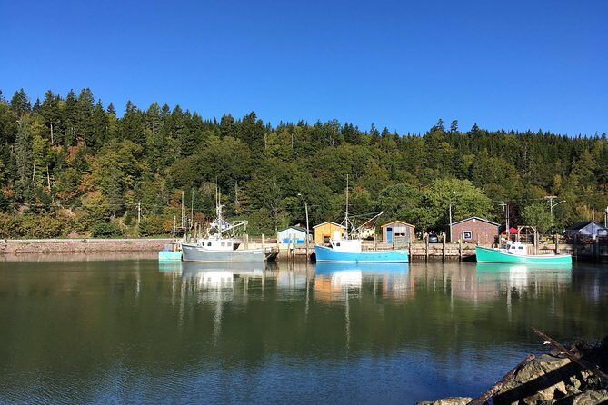 Bay of Fundy Tour by Bus - Key Points
