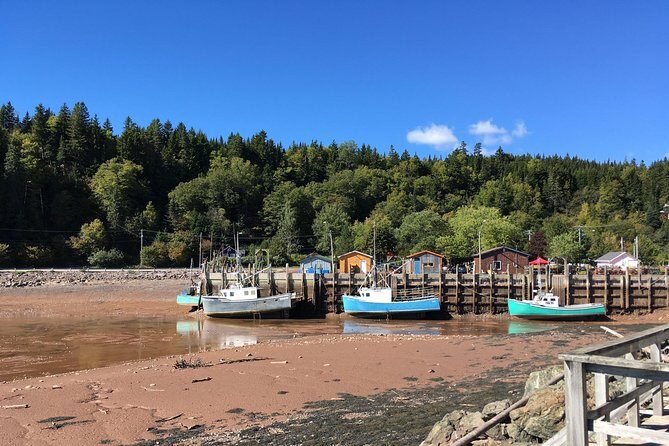 Bay of Fundy Tour by Bus - The Sum Up: Who Will Love This Tour?