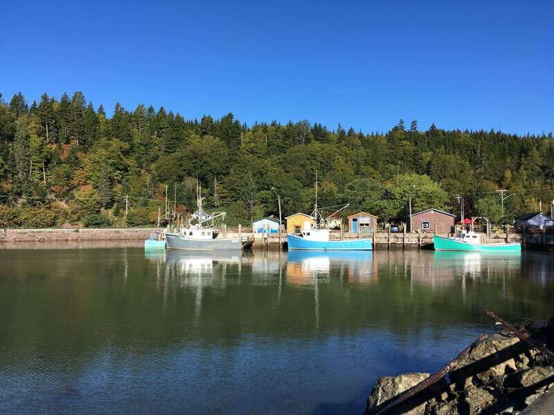 Bay of Fundy Tour by Luxury Car - Key Points