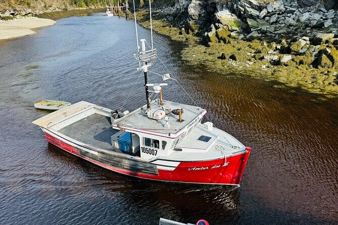 Bay of Fundy Tour Saint John NB - The Sum Up