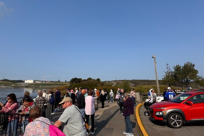 Bay of Fundy Tour Saint John NB - FAQ