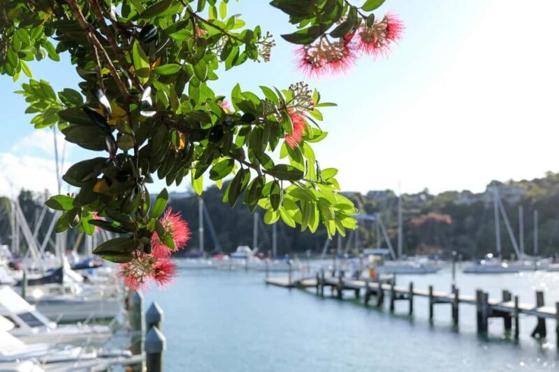 Bay of Islands: 1 Hour Scenic Bay of Islands Tour - Explore the Bay of Islands in Just an Hour