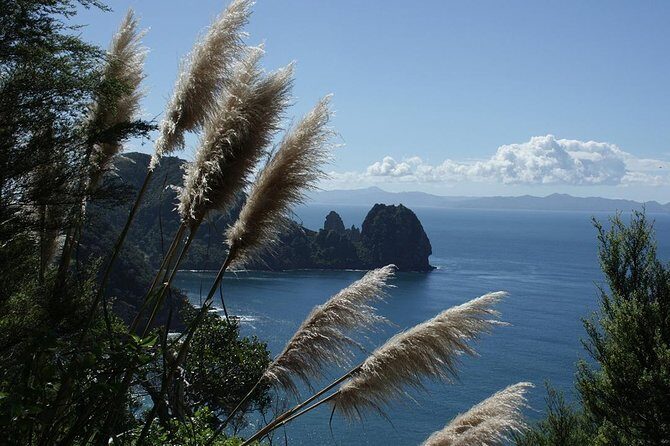 Bay of Islands 2-Day Small Group Tour & Cruise from Auckland - Considering the Value