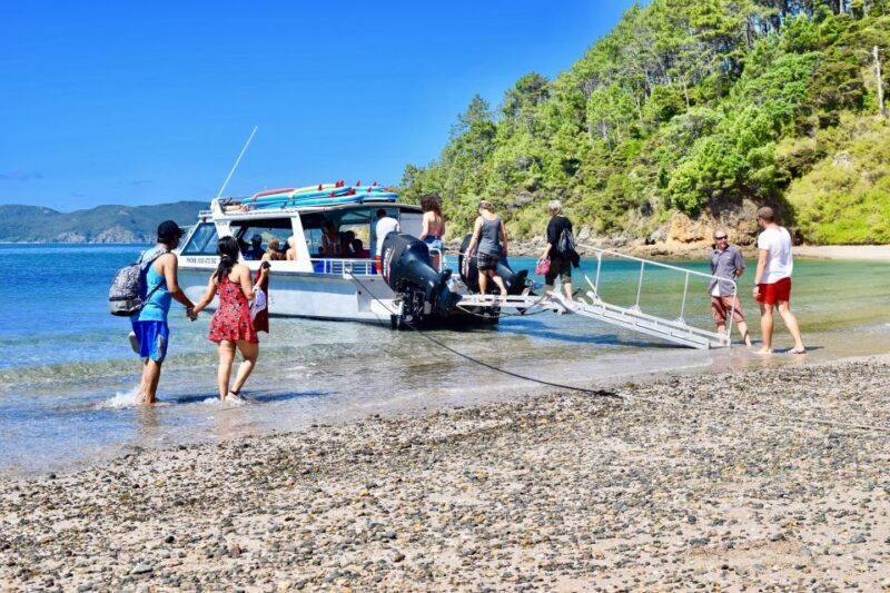 Bay of Islands: 4.5 Hour Day Cruise and Island Getaway Tour - Deep Dive into the Itinerary