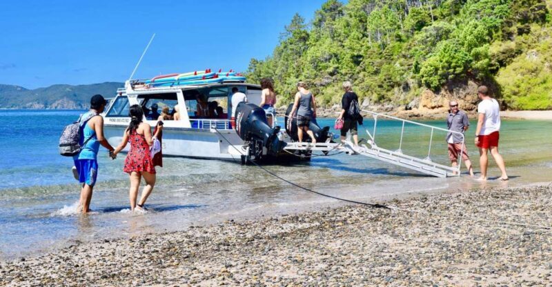 Bay of Islands: 4.5 Hour Day Cruise and Island Getaway Tour - Authentic Experiences and Tips from Reviewers