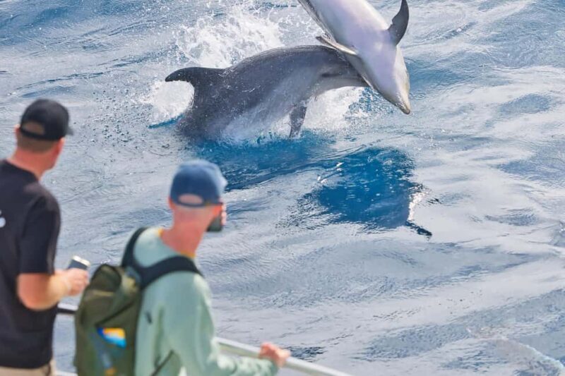 Bay of Islands: Discover the Bay Cruise with Island Lunch - Discover the Bay of Islands: A Practical Review of the Scenic Cruise with Island Lunch