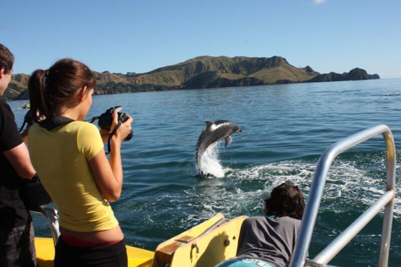Bay of Islands: Discover the Bay Cruise with Island Lunch - Why This Tour Offers Good Value
