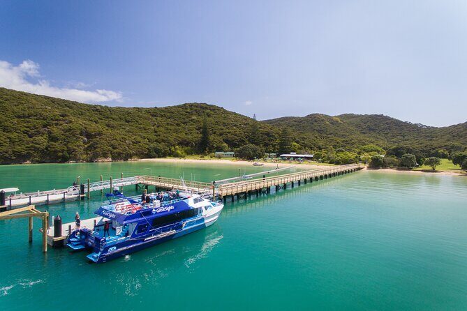 Bay of Islands Discovery Experience from Auckland incl. Hole In The Rock Cruise - A Detailed Look at the Experience