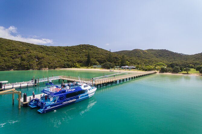Bay of Islands Explorer Experience Small Group Tour From Auckland - A Full Breakdown of the Experience
