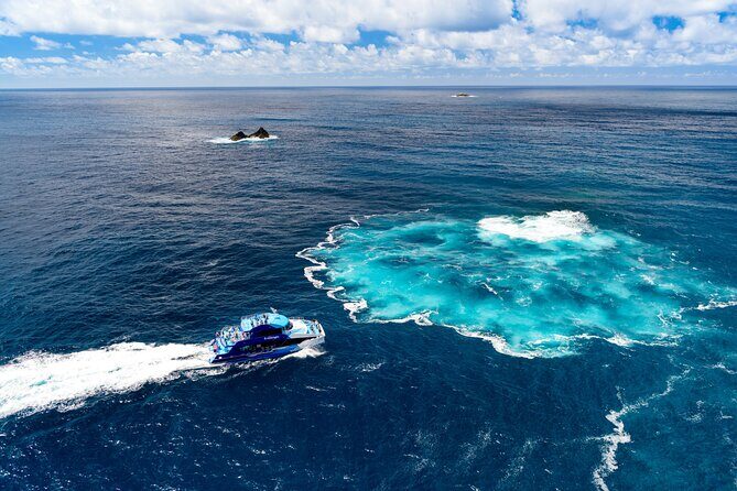 Bay of Islands Explorer Experience Small Group Tour From Auckland - Who Will Benefit Most from This Experience?