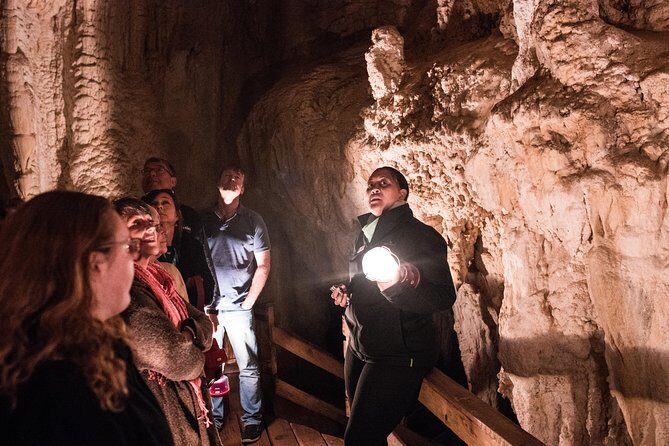 Bay of Islands Glow Worm Caves & Scenic Shore Excursion - What’s Included and What’s Not