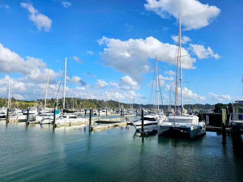 Bay of Islands - Mini Tour (75-90 mins) - Who Will Love This Tour?