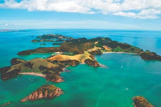 Bay of Islands Private Tour - A Deep Dive into the Bay of Islands Private Tour