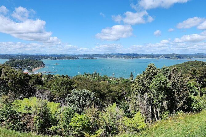 Bay of Islands Scenic Tour - Exploring the Bay of Islands Scenic Tour