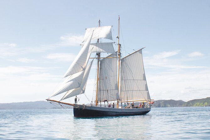Bay of Islands Tall Ship Sailing on R. Tucker Thompson Including BBQ Lunch - Value for Money and Considerations