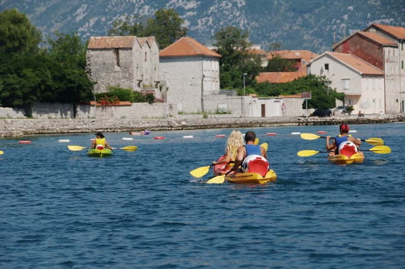 Bay of Kotor: 2.5-Hour Kayak Tour - Experience the Bay of Kotor from a Kayak
